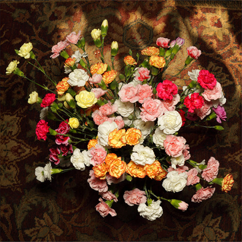 Larry Glawson | untitled (carnations overhead, matt shadow version #1) | archival inkjet print with silkscreen | 2012/2015